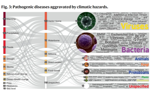 Pathogenic diseases aggravated by climate disasters