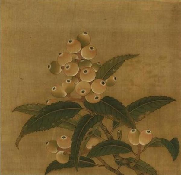 A Loquat, Unmarked, Qing Dynasty