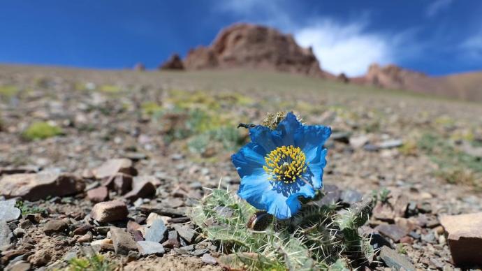 Natural walk | Go to the plateau and encounter the cool blue