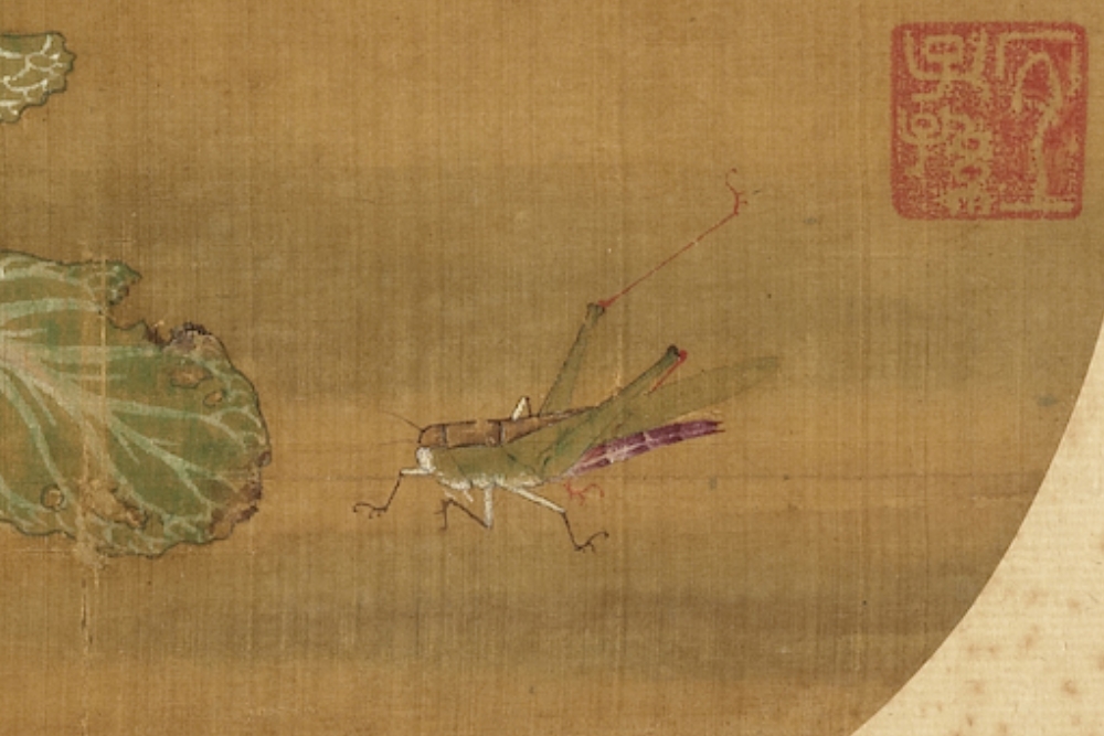 Song Xu Di Wild Vegetables and Insects (Partial Locusts)