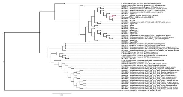 Figure 2: The gene evolution tree of monkeypox virus published by the Belgian team