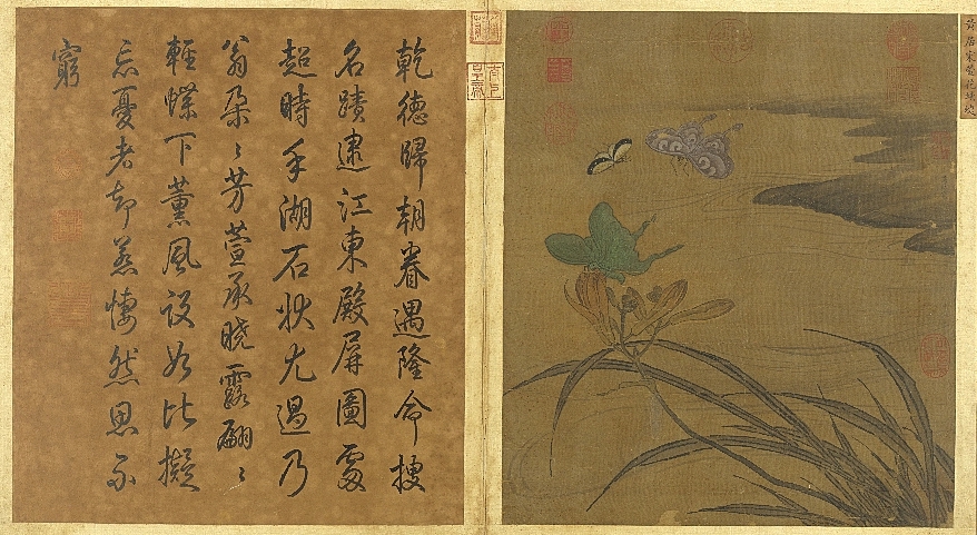 (Biography) Song Huang Jucai Xuan Hua Nymph Butterfly This painting is selected from the "Painting Album of Song, Yuan and Ming Collections" in the National Palace Museum, Taipei