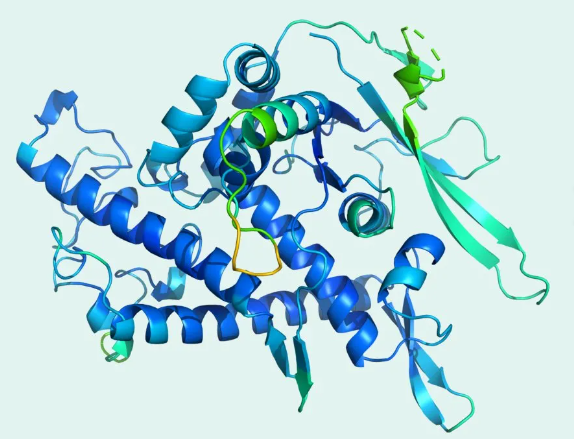 Protein structure predicted by AlphaFold. Figure: DeepMind