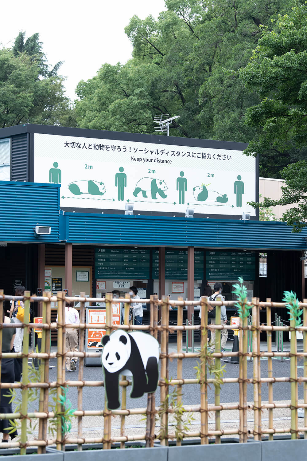 During the epidemic, Ueno Zoo must maintain a social distance of 2 meters when queuing. Gao's Guibo Picture