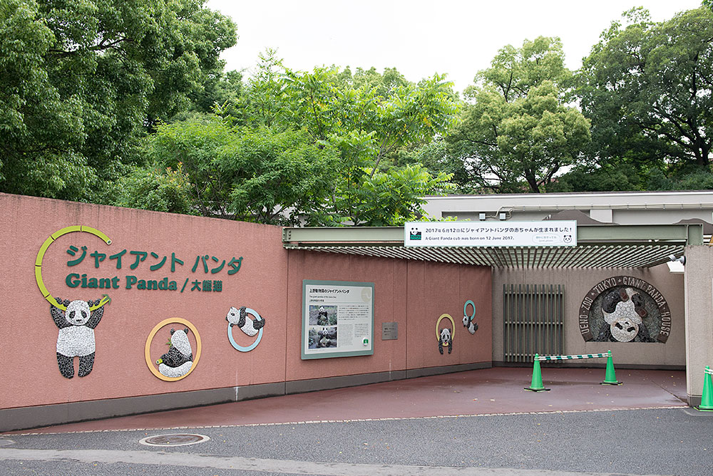 Ueno Zoo's Panda House Gao's Guibo Picture