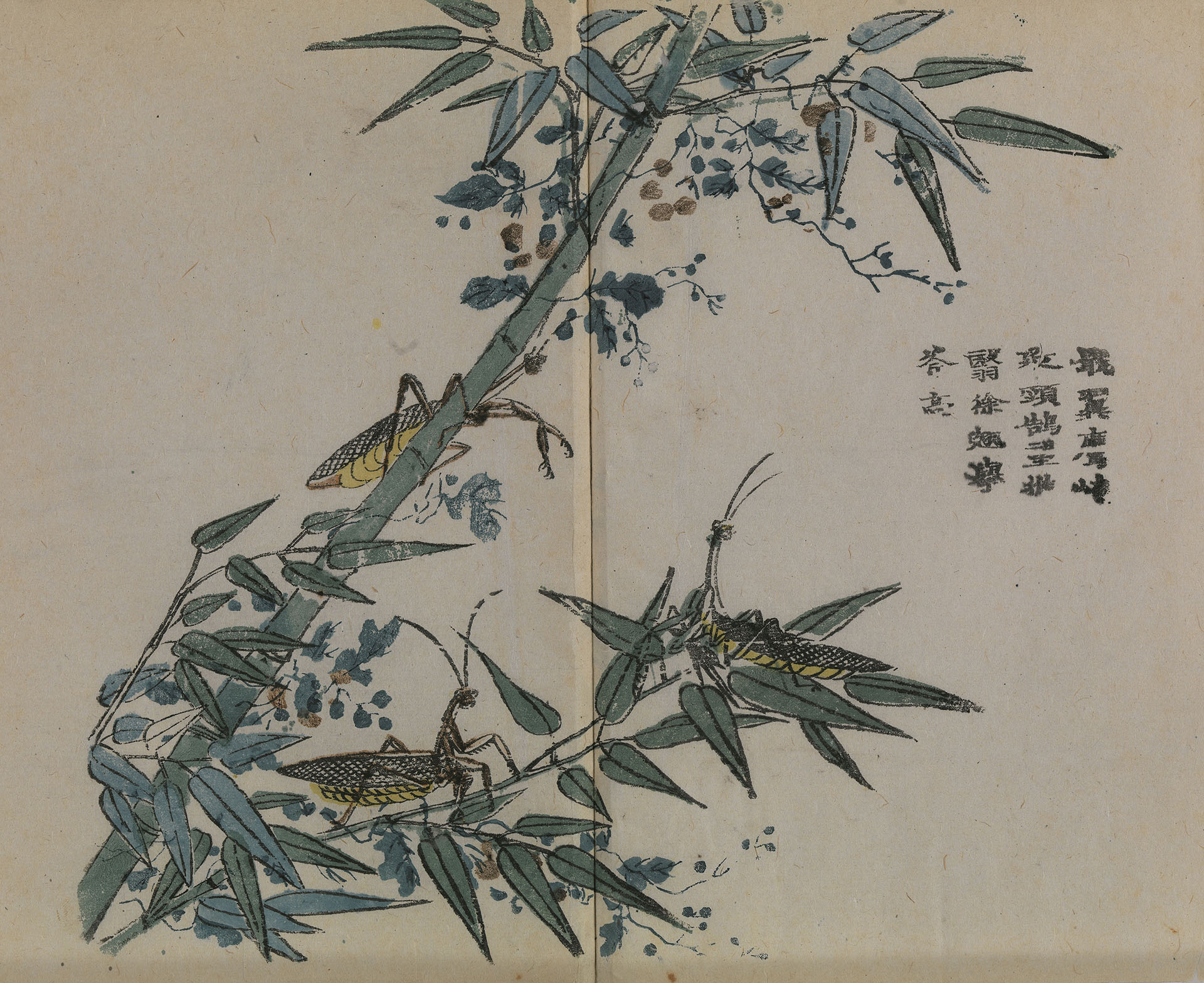 Qing Dynasty Wang Gai Paintings of Mustard Seed Garden