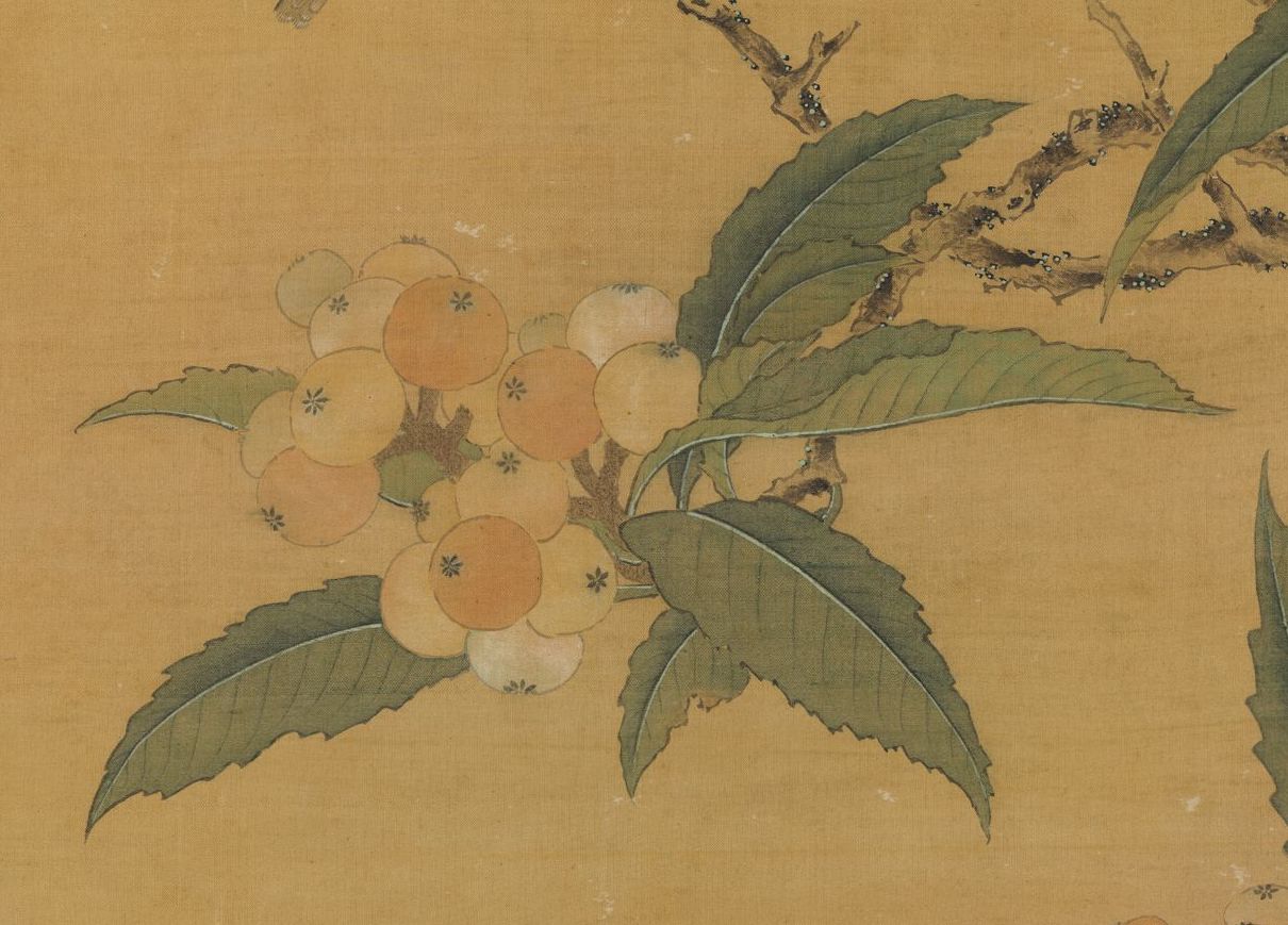 Ming Dynasty, Zhou Zhimian, Loquat Rare Bird Shaft (detail) Collection of the National Palace Museum, Taipei