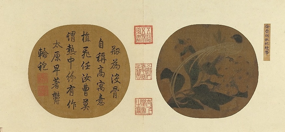 Song Xu Chongsi, loquat ribbon