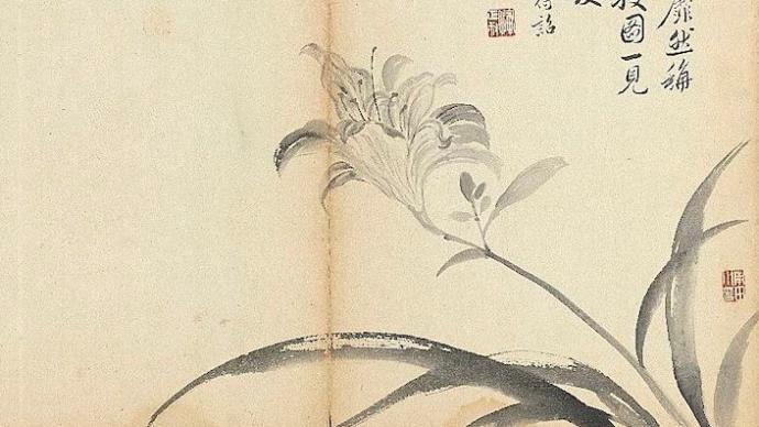 Forbidden City Flower Letter｜Hemerocallis