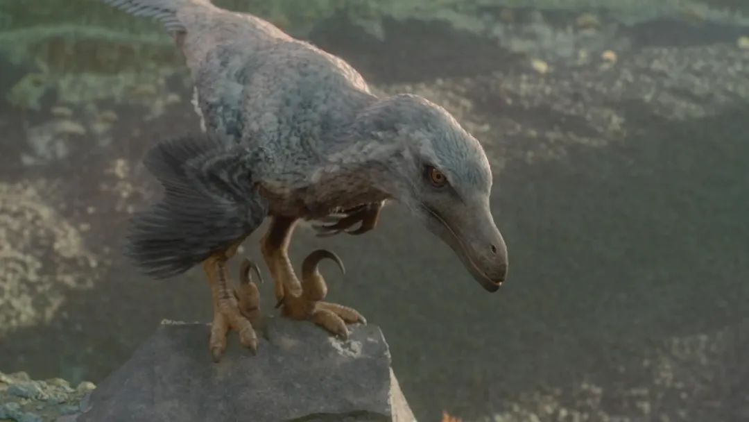 Velociraptors have bird-like wings