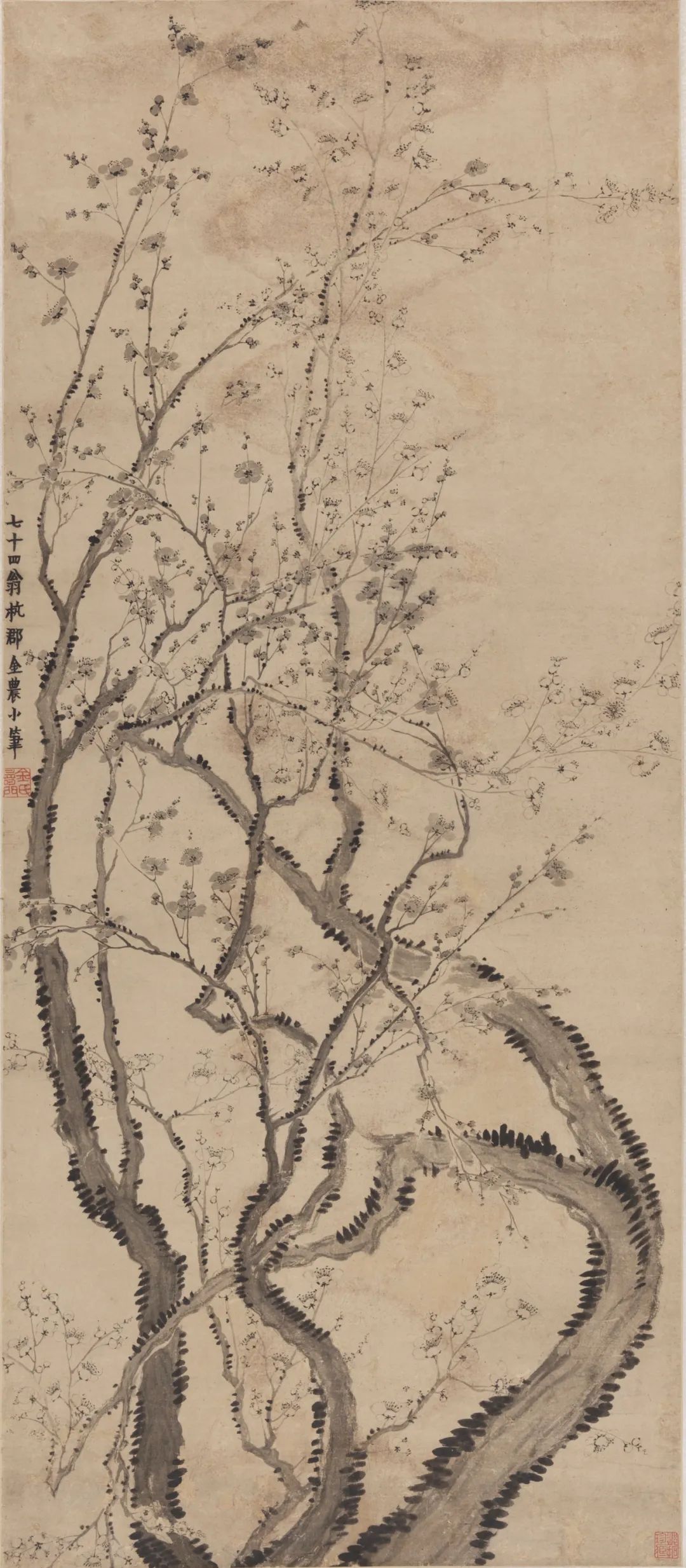 Qing Jinnong's "Double-color Plum Blossom"