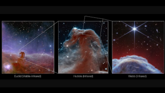 Webb Space Telescope captures sharp image of the Horsehead Nebula