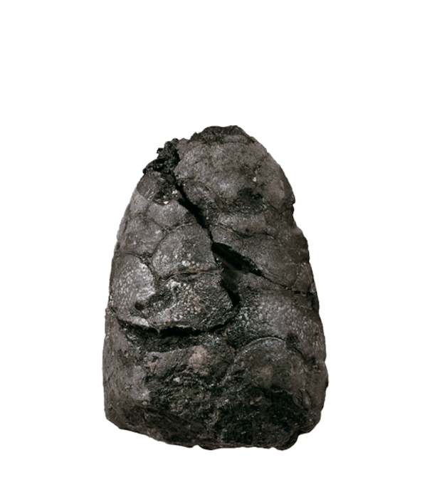 (Han) Mowan Unearthed from Mozuizi Han Tomb in Wuwei, Gansu Province, Gansu Provincial Museum