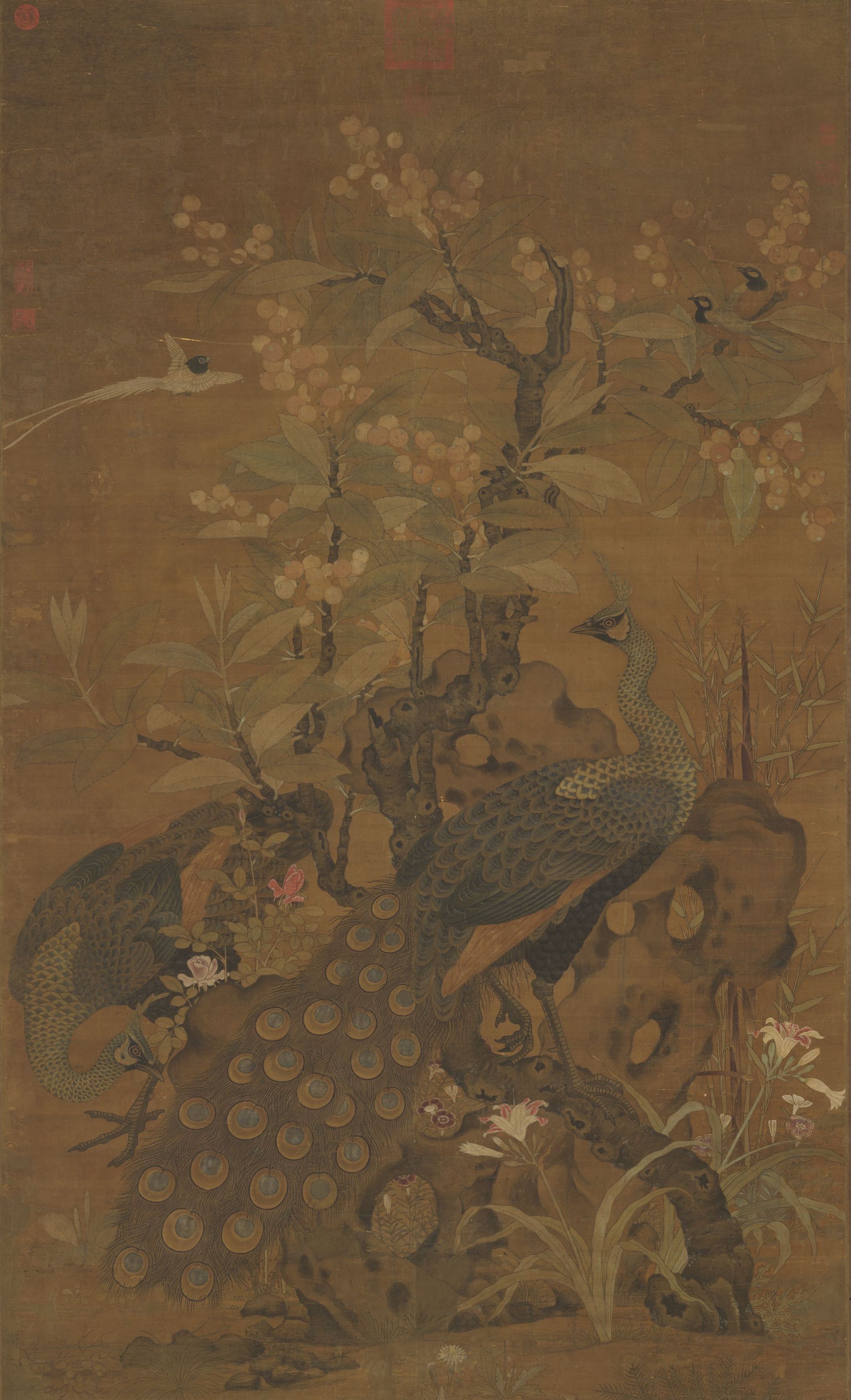 Song Cui Bai, painting a loquat and peacock on a scroll, in the collection of the National Palace Museum, Taipei