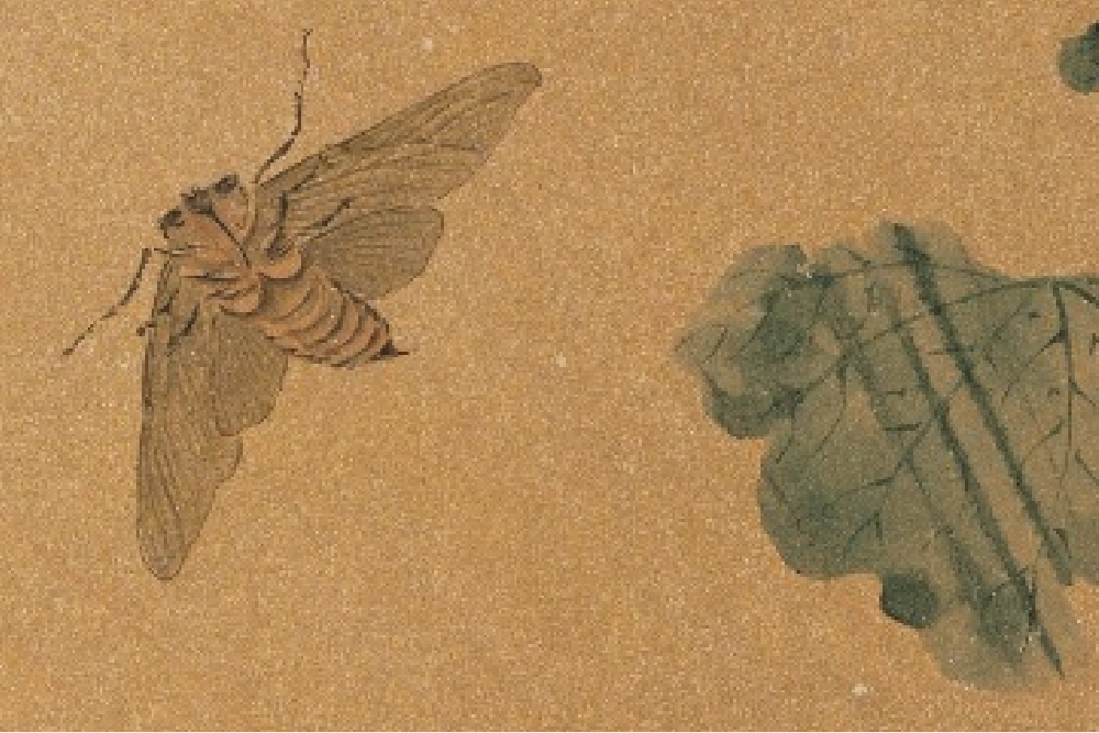 Ming Zhou Qifeng Hollyhock, Cicada and Bamboo (Part)
