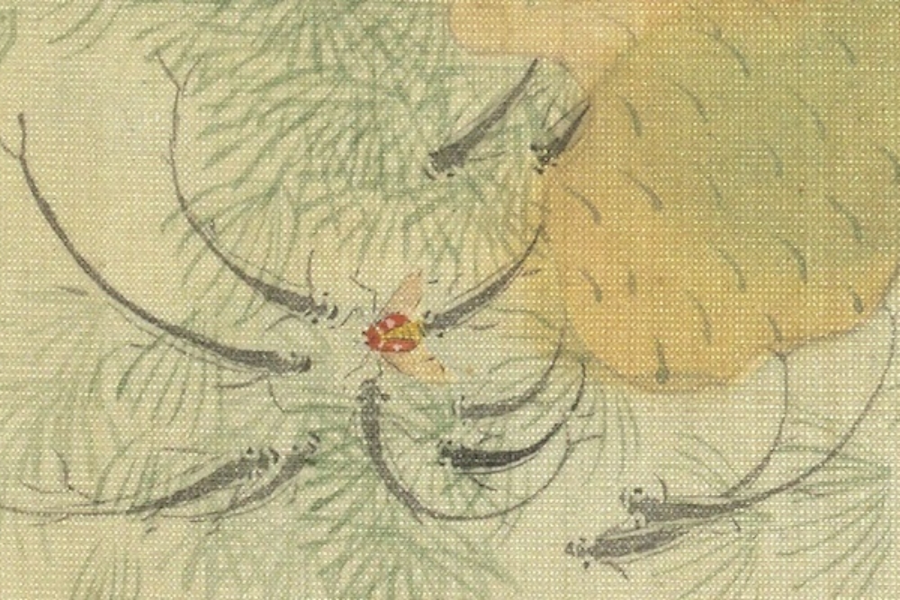 Qing Dynasty, Algae, Lotus Frog, Fish and Seaweed (Partial)