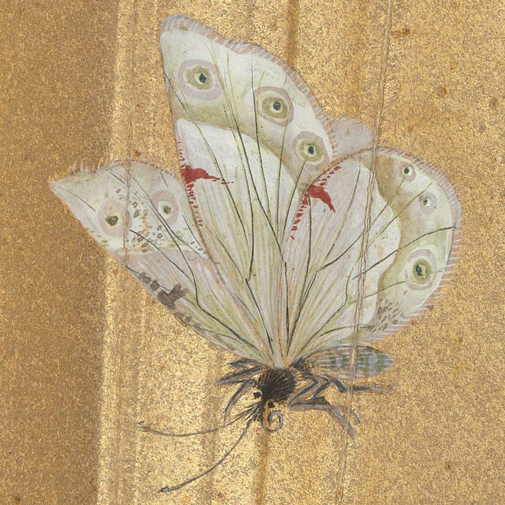 Ming Ma Shouzhen, Flower and Butterfly (Part)
