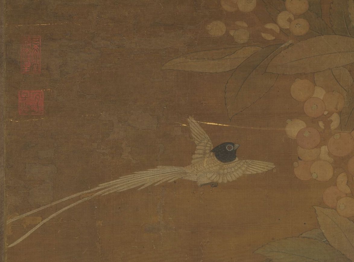 Song Cui Bai, painting loquat and peacock, scroll (detail) Collection of the National Palace Museum, Taipei