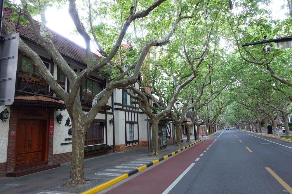 On Xinhua Road west of Panyu Road, Fengbo Restaurant in Zuoyuan has already changed its doors. Photography by Yao Zhikang