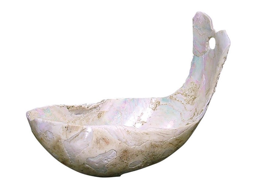 Shell spoon, late shell mound period (6th to 7th century), unearthed from the Kominato Ukidani ruins in Amami City, Kagoshima Prefecture, in the collection of Kagoshima Amami Municipal Amami Museum, important cultural property in Japan; made daily necessities with seashells and other materials from the ocean And decorations are the characteristics of local culture. This work is made by breaking the shell parts, and showing different luster of the nacre according to different grinding degrees.