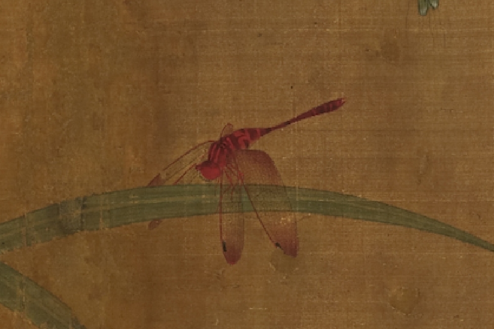 Song Wu Bing Jiahe Grass Insect (Partial Dragonfly)