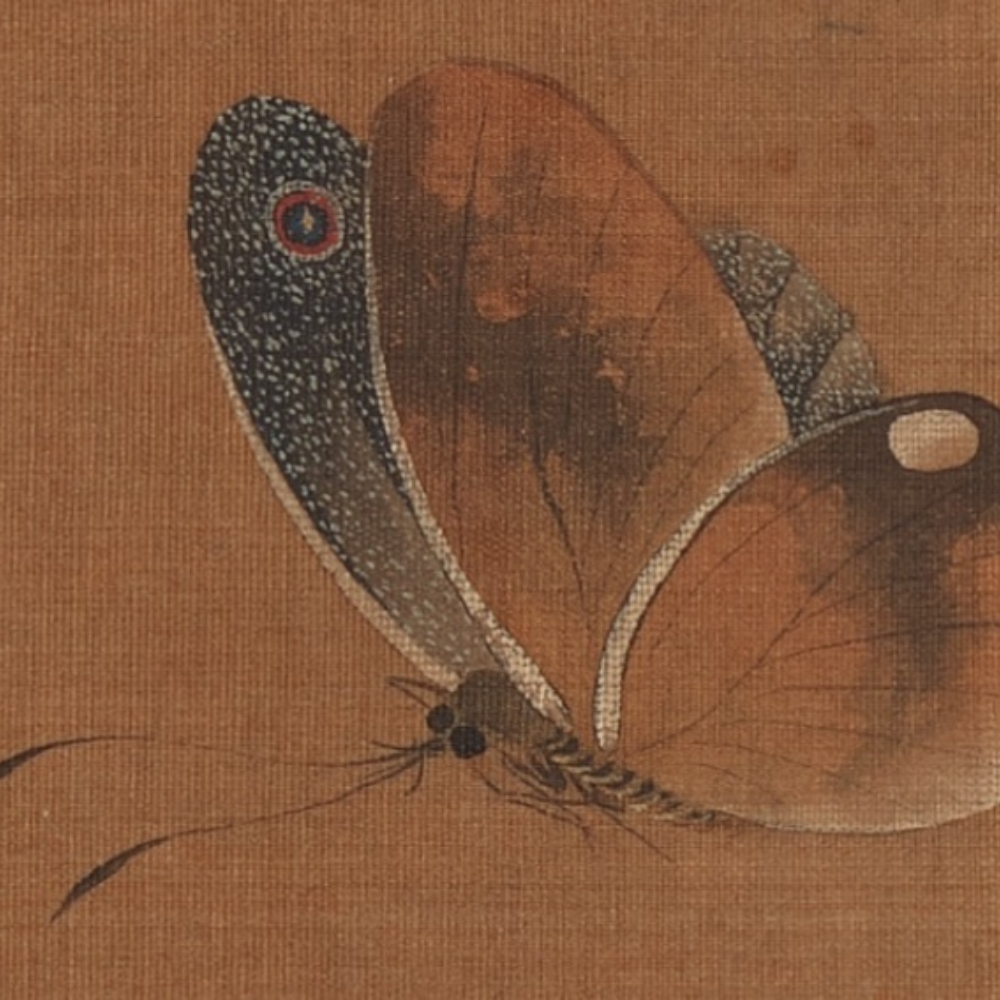 Biography of the Five Dynasties, Xu Xi, Flowers, Insects and Insects (Partial)