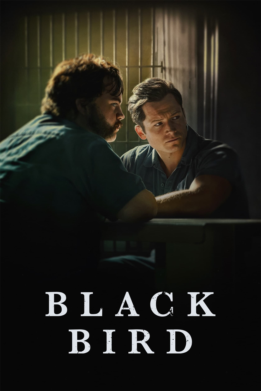 "Blackbird" poster