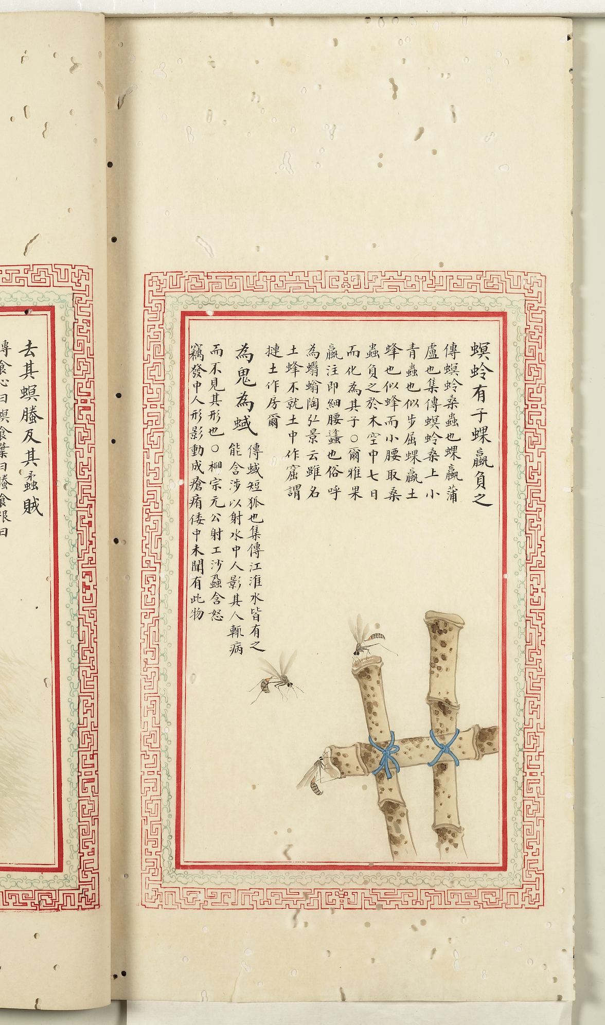 A Textual Research on the Poems and Objects of Mao's Poems in Qing Dynasty: "The borer has a son, and the scorpion bears it"