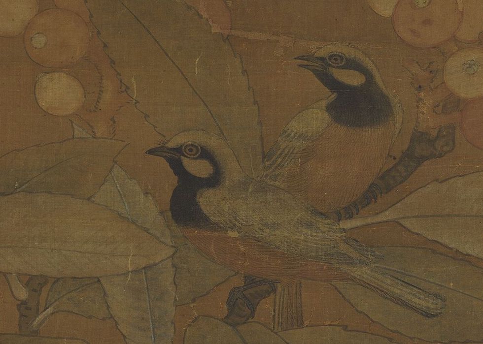 Song Cui Bai, painting loquat and peacock, scroll (detail) Collection of the National Palace Museum, Taipei