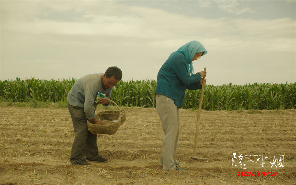 "Hidden in the Dust" stills