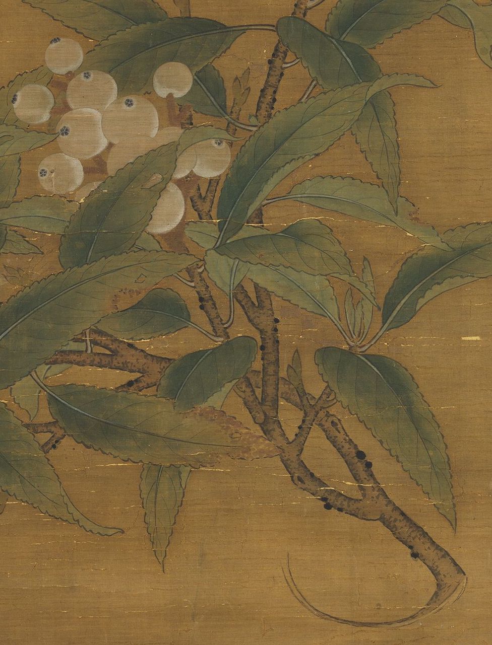 Song Dynasty Broken Branches Loquat Axis (Part) Collection of the National Palace Museum, Taipei