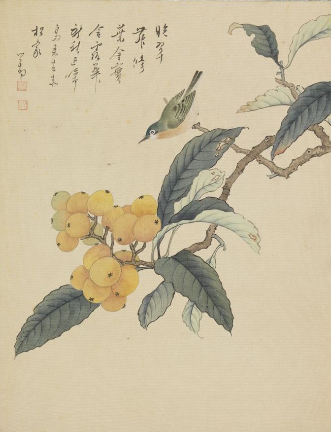 The Republic of China, Pu Xin She, Loquat Collection, National Palace Museum, Taipei