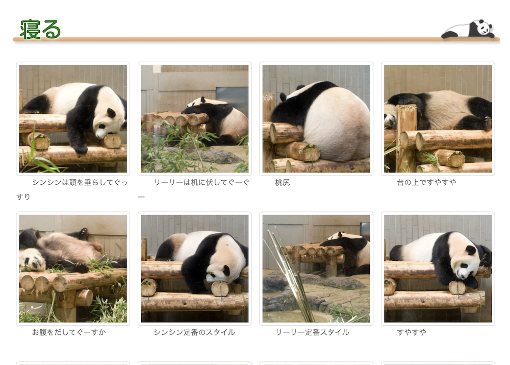Various sleeping positions of giant pandas. Gao's Guibo Picture