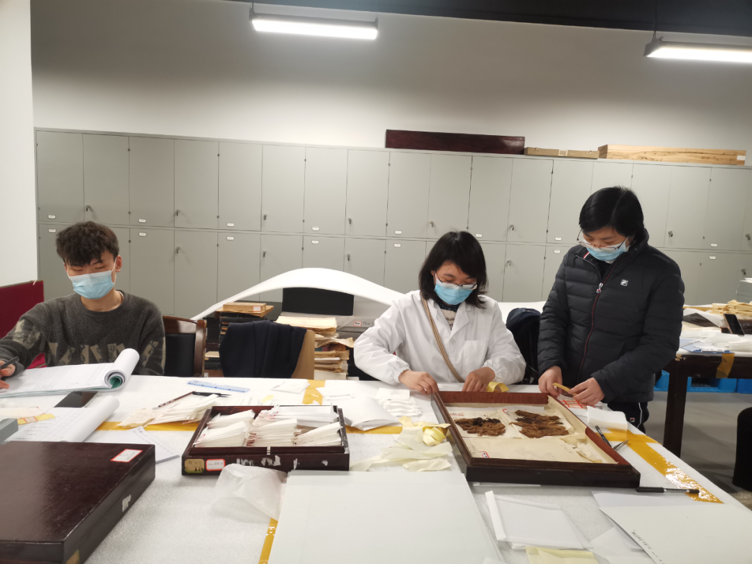 Yu Yanjiao (right) is instructing staff to clear and archive the cultural relics unearthed from the Mawangdui Han Tomb. Source: Hunan Provincial Museum