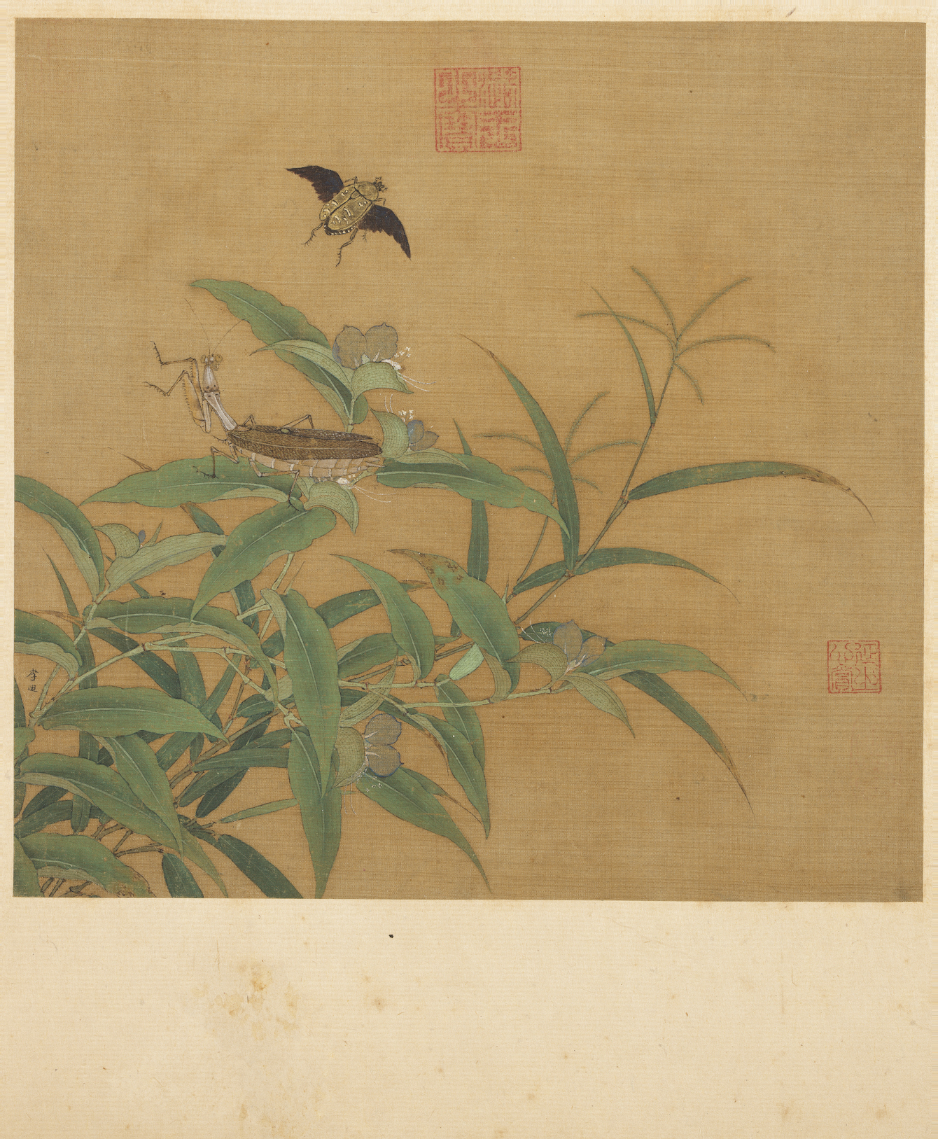 Song Li Di Qiuhui Grass and Insect