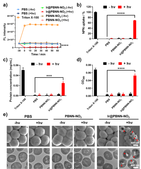 Figure 2: Photoredox catalysis triggers the release of nitric oxide to achieve cell membrane hyperpolarization and enhanced bacterial membrane permeability, effectively killing methicillin-resistant Staphylococcus aureus (MRSA). Picture from University of Science and Technology of China