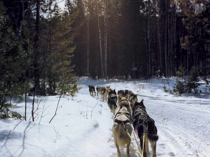 "Crossing Siberia"