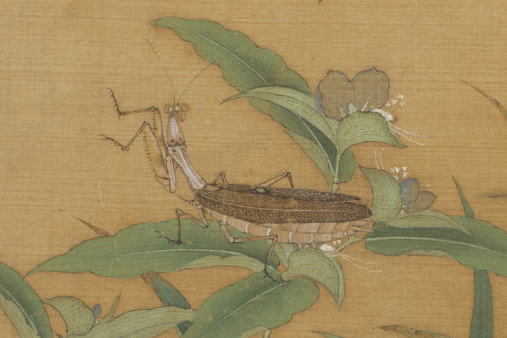 Song Li Di Qiuhui Grass and Insect (Partial Praying Mantis)