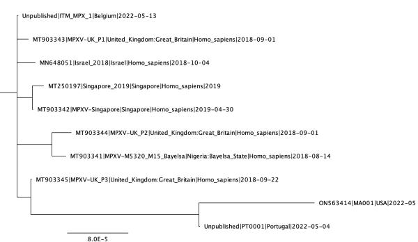 Figure 3: Gene evolution tree of monkeypox virus compiled by Andrew Lambert ​​​​​​