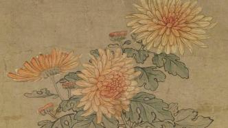 Cold Dew｜“Chrysanthemum with Claws” in the Palace Museum Painting