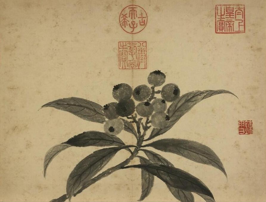 Qing Dynasty Zhang Ruoai Loquat