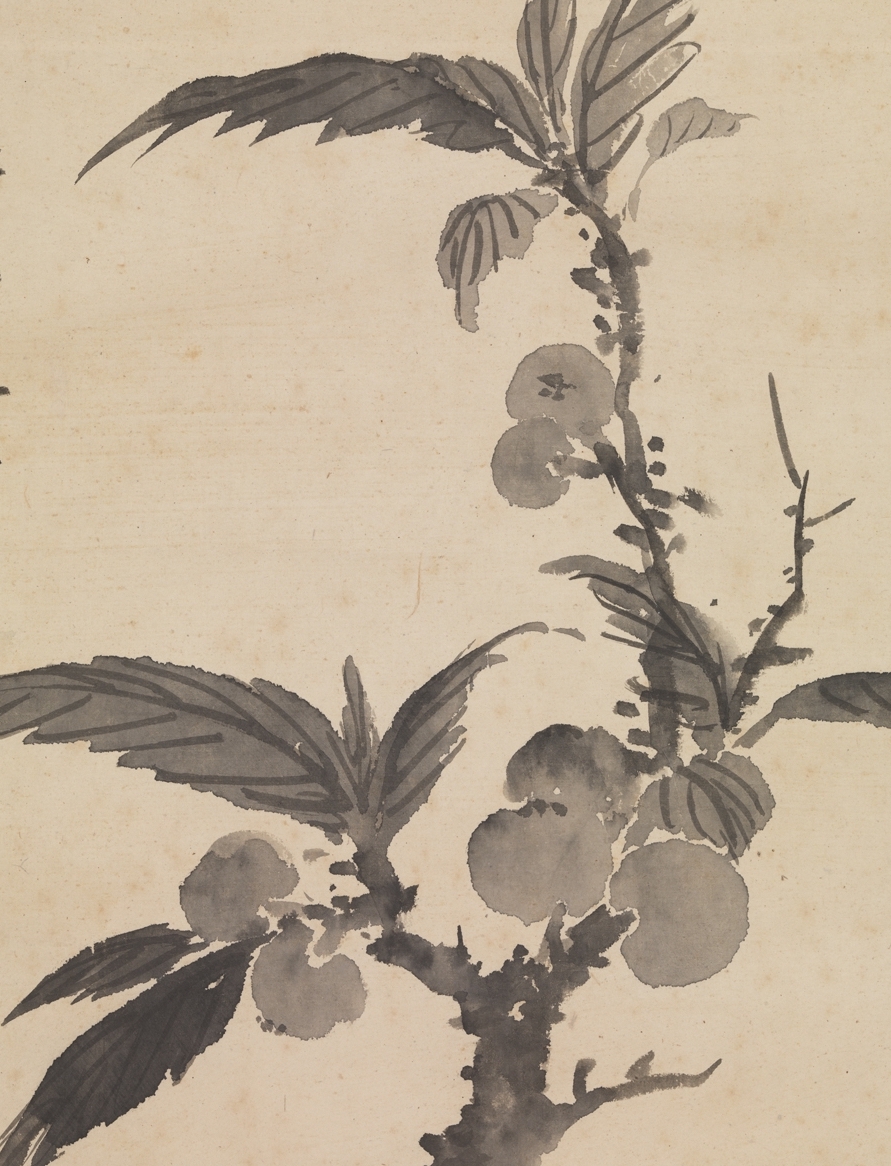 Ming Shen Zhou Painted Loquat Scroll (detail) Collection of the National Palace Museum, Taipei