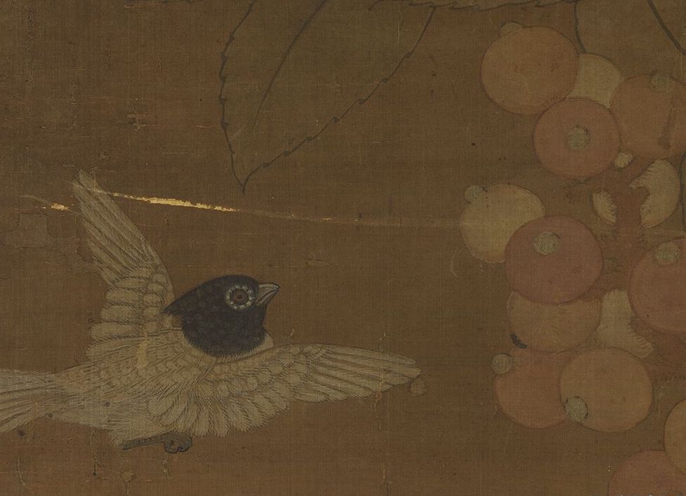 Song Cui Bai, painting loquat and peacock, scroll (detail) Collection of the National Palace Museum, Taipei