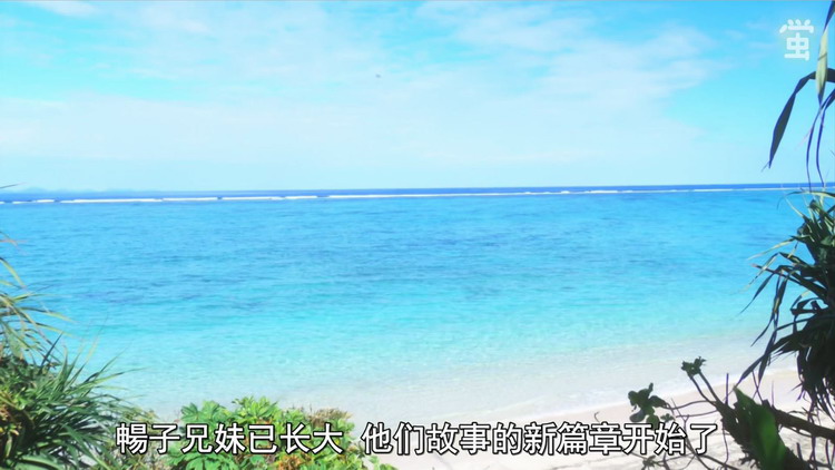 The Okinawa seascape that appears in many places in the play