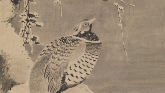 Beginning of Winter｜The Pheasant in the Paintings of the Palace Museum