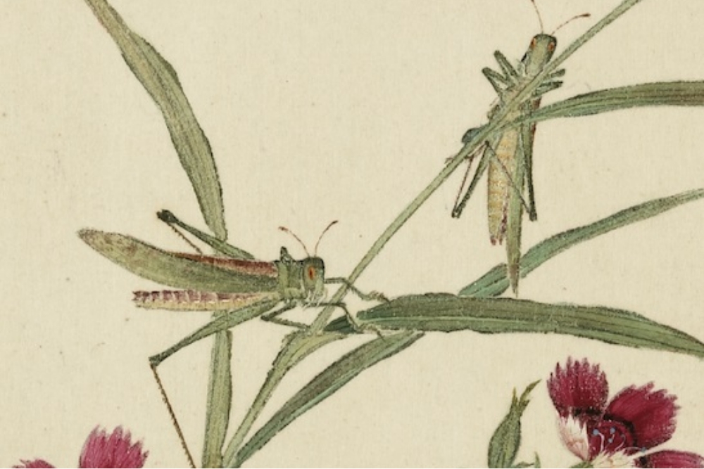 Qing Jiang Tingxi Grasshopper (detail)