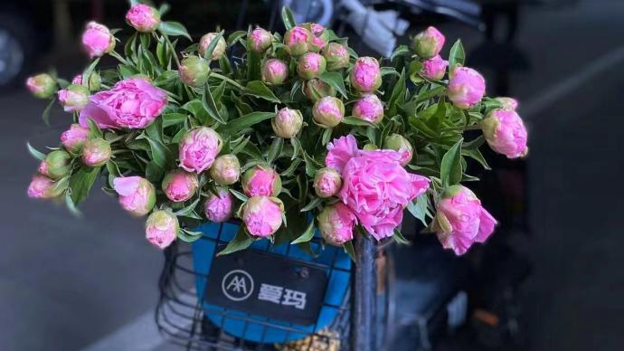 This past spring, the small shopkeepers who shuttled through the Shanghai community