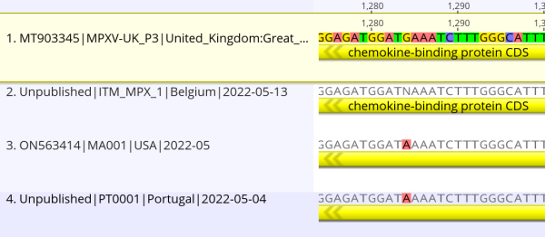 Figure 4: Alignment of nucleotide variants in monkeypox virus genome samples