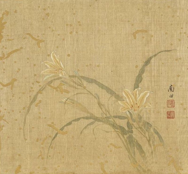 Qing Dynasty, Yun Shouping, Xuanhua This painting is selected from Yun Shouping's "Painting Flowers" in the National Palace Museum, Taipei