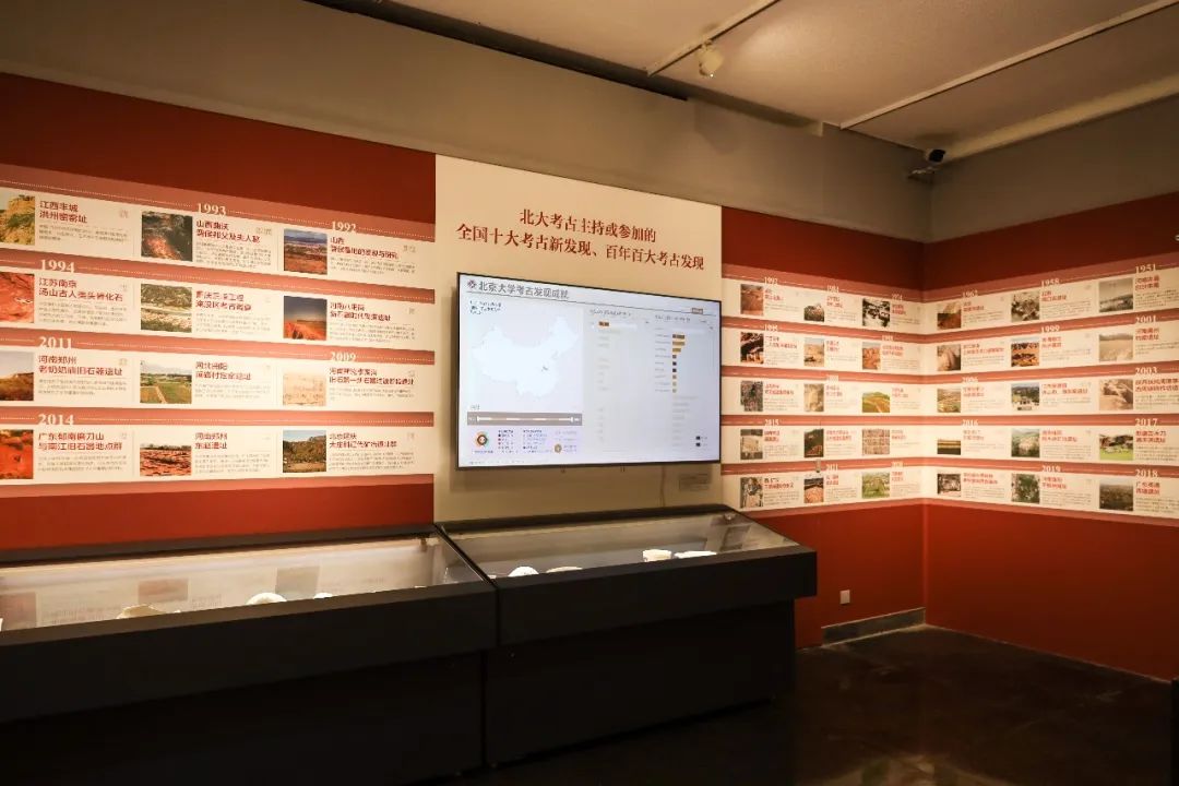 Interactive area for stone tools and plant specimens